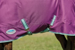 WEATHERBEETA Turnout Blankets|® Pony ComFiTec™ Premier Free II Detach-A-Neck Medium-Weight Turnout Blanket