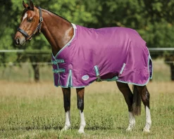 WEATHERBEETA Turnout Blankets|® Pony ComFiTec™ Premier Free II Standard Neck Lite Turnout