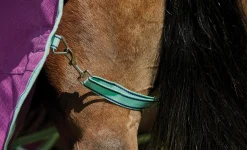 WEATHERBEETA Turnout Blankets|® Pony ComFiTec™ Premier Free II Standard Neck Lite Turnout