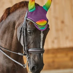 WEATHERBEETA Ear Bonnets|Ear Bonnets|® Prime Ombré Ear Bonnet