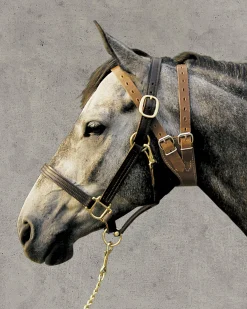 WEAVER LEATHER Cribbing & Muzzles|® Miracle Collar®