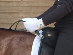 WHINNY WIDGETS Lunging & Training Equipment|Steady Hands