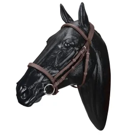 SADDLERY BRANDS INTL English Bridles|Wintec Bridle