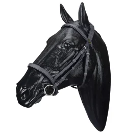 SADDLERY BRANDS INTL English Bridles|Wintec Bridle