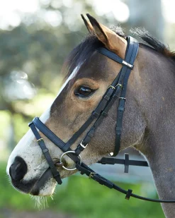 SADDLERY BRANDS INTL English Bridles|Wintec Bridle with Flash