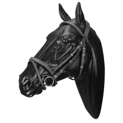 SADDLERY BRANDS INTL English Bridles|Wintec Bridle with Flash