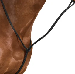 SADDLERY BRANDS INTL Martingales & Breastplates|Wintec Standing Martingale