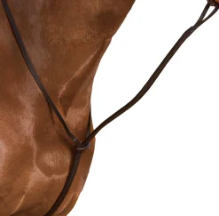 SADDLERY BRANDS INTL Martingales & Breastplates|Wintec Standing Martingale