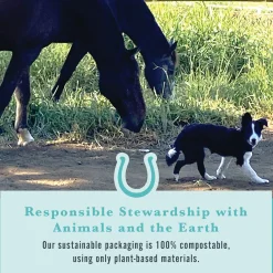 WITHERS & WITHERS Horse Treats|Horse Treats|Sugar-Free Peppermint/Marshmallow Nutra-Treats for Horses