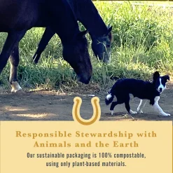 WITHERS & WITHERS Horse Treats|Horse Treats|Sugar-Free Cinnamon Nutra-Treats for Horses