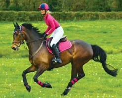 TOKLAT ORIGINALS Horse Boots|Woof Wear All-Purpose Boots