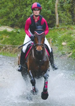 TOKLAT ORIGINALS Horse Boots|Woof Wear All-Purpose Boots